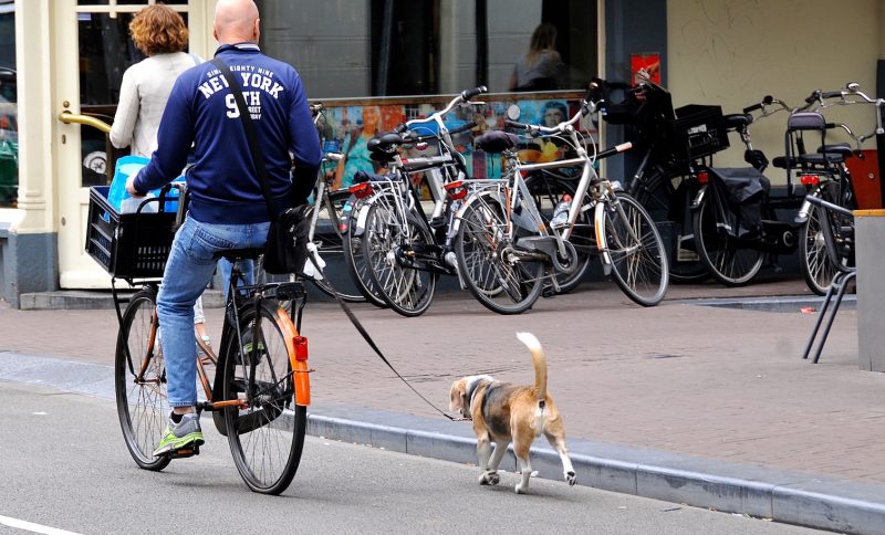 自転車をひいて歩くのは違法