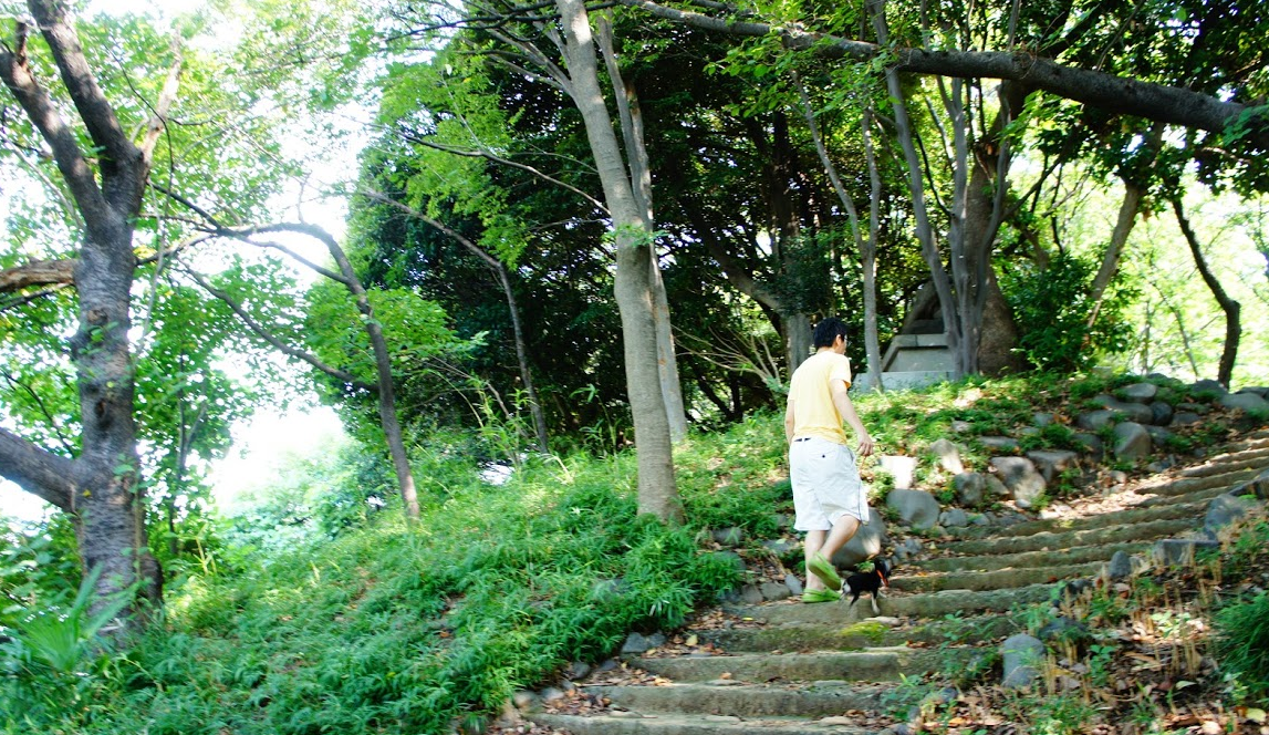 愛犬とのびのびお散歩が楽しめる都内23区の公園8選 東京の渓谷や小川を満喫しよう Doghuggy