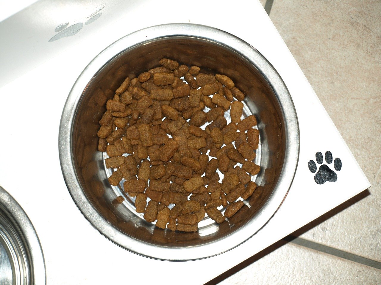 犬の手作りご飯の量はどのくらい 初めてでも簡単にわかる Doghuggy