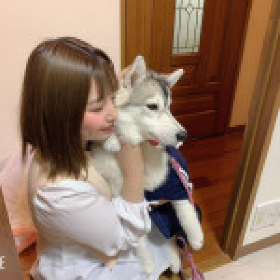 神奈川県 横浜市 のドッグホスト 小型犬 超大型犬ok 夜間病院徒歩５分 ドッグランok 大きさにより値段変動あり Doghuggy ドッグハギー