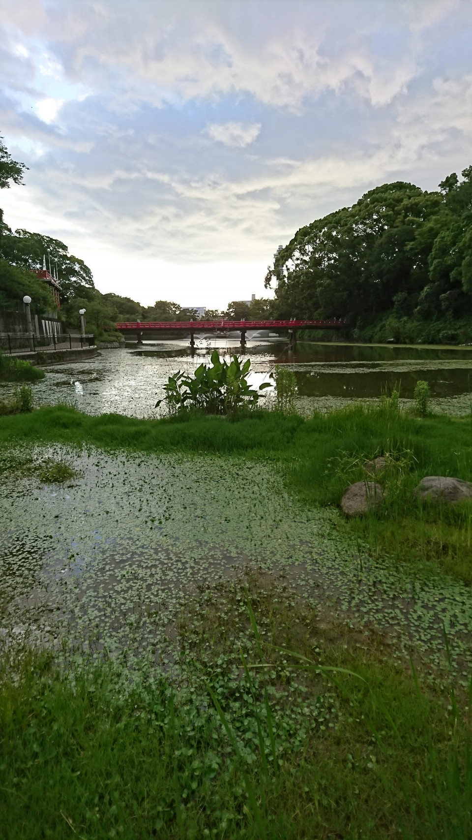 天王寺公園 てんしば 大阪市内 公園 いぬちず