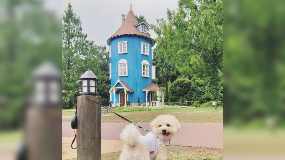 ムーミンバレーパーク 公園 いぬちず